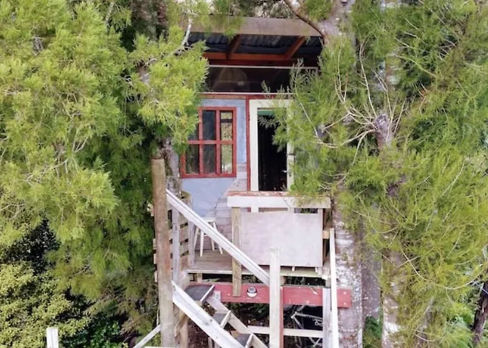 The Treehut At The Rabbithole, Upper Hutt