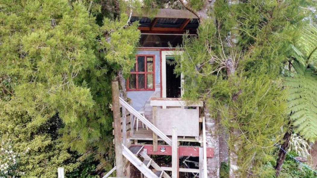 The Treehut At The Rabbithole, Upper Hutt Akatarawa